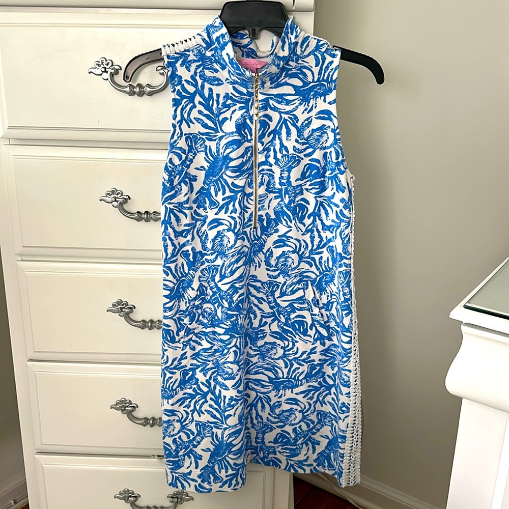 Lilly Skipper Dress
